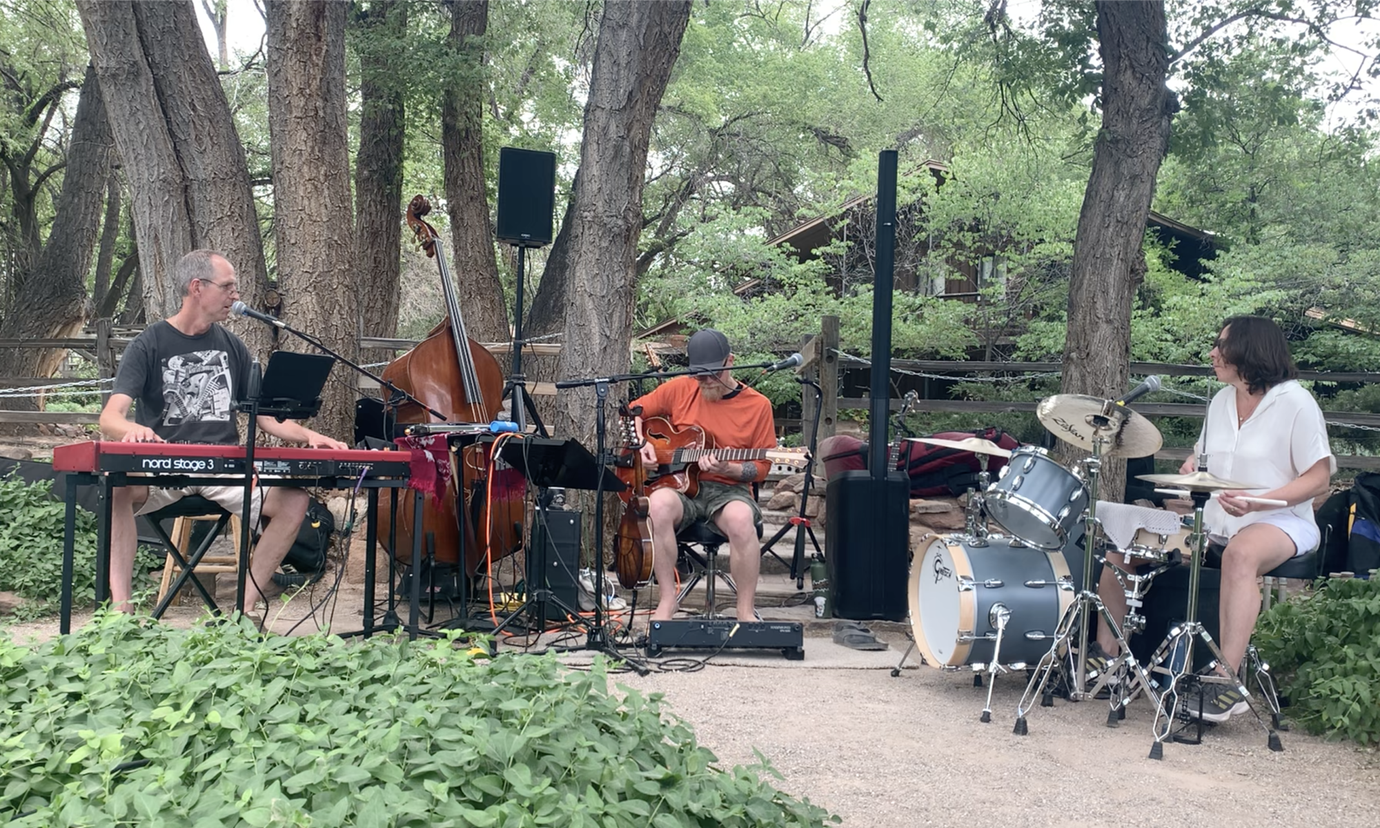3 memeber band playing under the cottonwood trees at Old Town Farm and Bike In Coffee