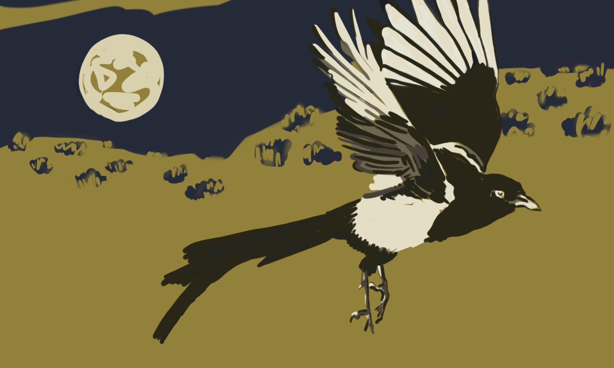 Digital Painting of a Flying Magpie by Sandra Mack. This image was used as album art for the Down with Despair CD released in 2023